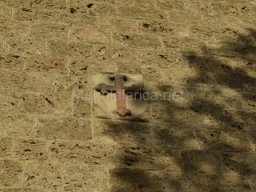 Ciudad de Caravaca 2012